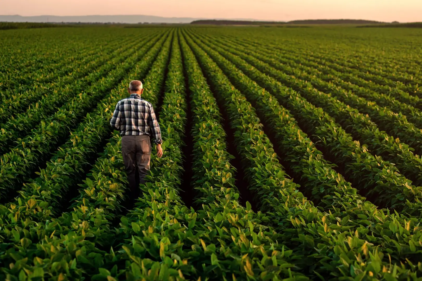 Vieillissement de la population : quels risques pour l’agriculture nationale ?